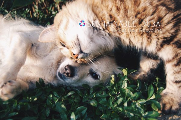 Pet Hair Recycling: 7 Creative Ways to Reuse Furry Waste Pet Hair Recycling: 7 Creative Ways to Reuse Furry Waste