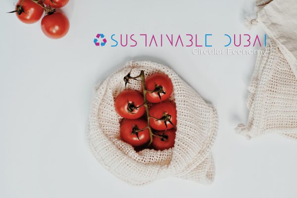 Circular Economy, How to Participate: A Guide to Creating a Sustainable Future Circular Economy How to Participate: A Guide to Creating a Sustainable Future