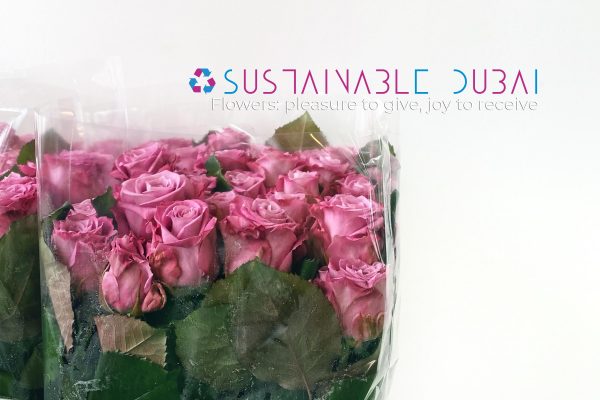 Sustainable Flower in Dubai: Alternatives to Plastic Wrap and How to Reduce Your Carbon Footprint Sustainable Flower in Dubai: 5 Alternatives to Plastic Wrap and How to Reduce Your Carbon Footprint