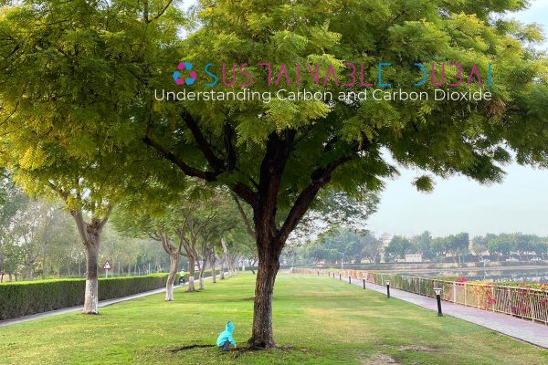 Understanding Carbon & Carbon Dioxide: Why One is Good and the Other is Harmful Understanding Carbon and Carbon Dioxide: Why One is Good and the Other is Harmful. Learn how to reduce CO2 emissions and promote regeneration for a sustainable future.