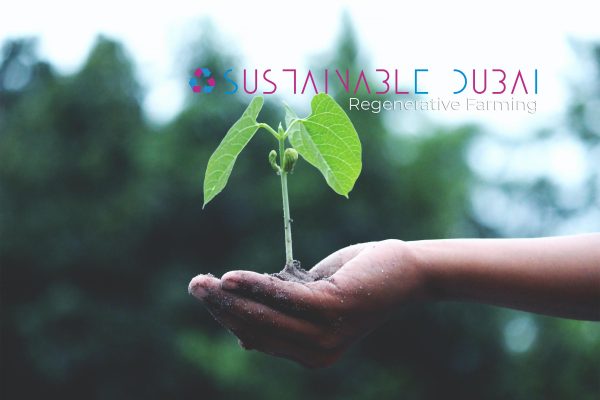 Regenerative Farming: A Sustainable Farming Concept for a Healthier Planet Regenerative Farming: A Sustainable Farming Concept for a Healthier Planet