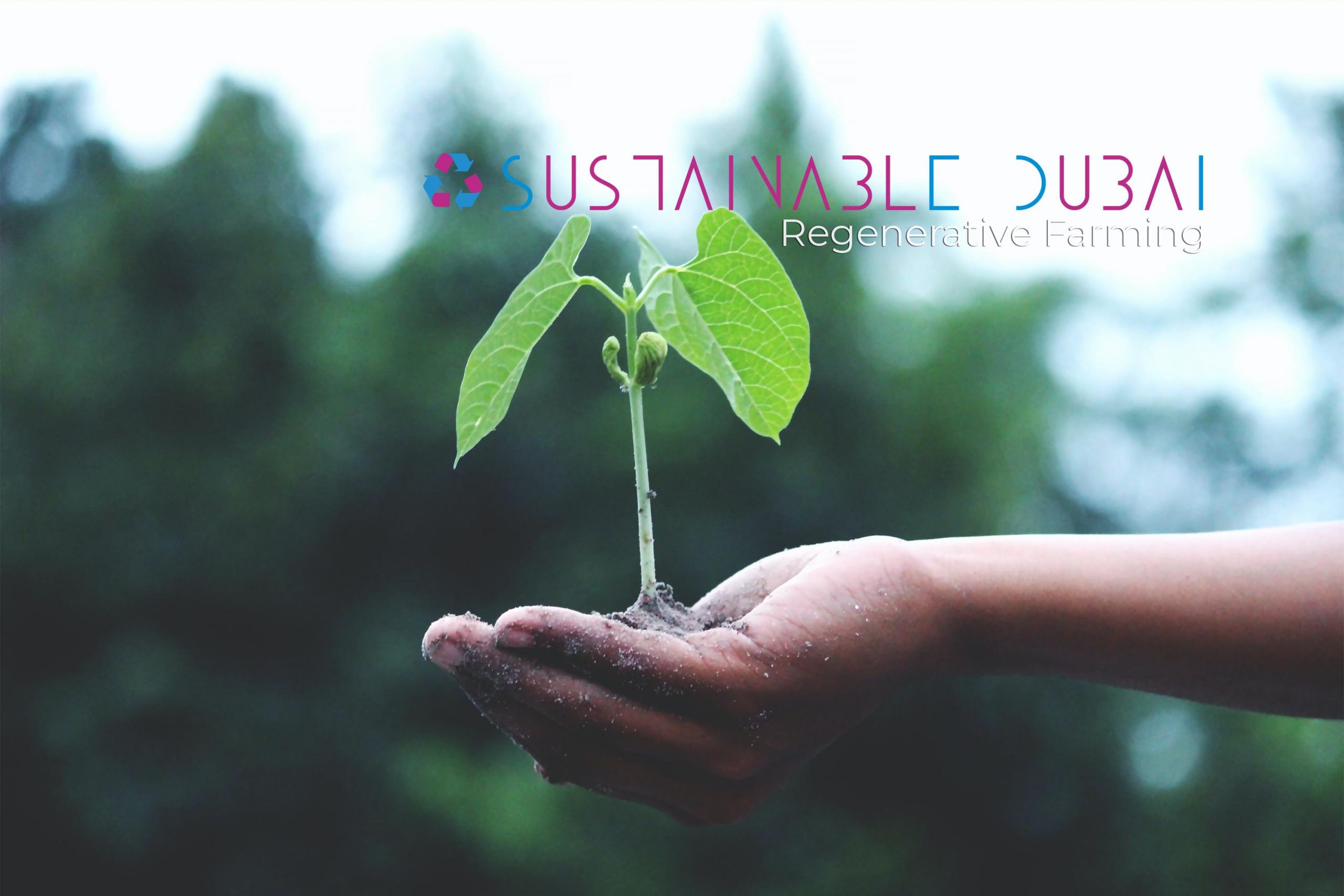 Regenerative Farming: A Sustainable Farming Concept for a Healthier Planet