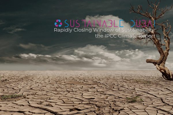 Closing Window of Sustainability: The IPCC Climate Report Closing Window of Sustainability: The IPCC Climate Report