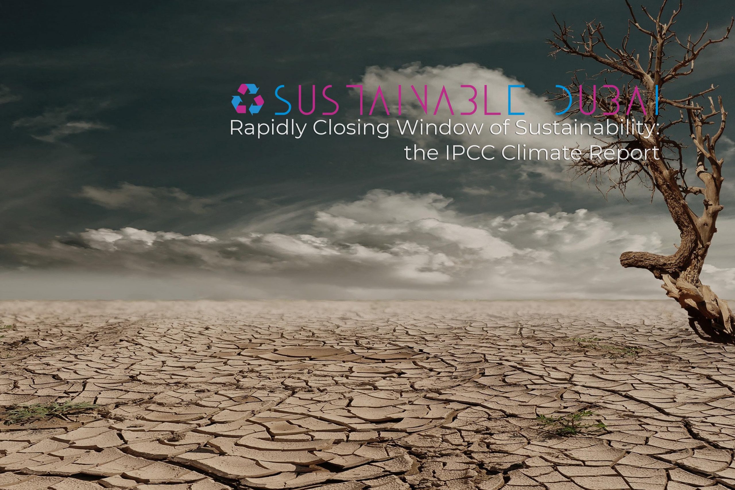 Closing Window of Sustainability: The IPCC Climate Report