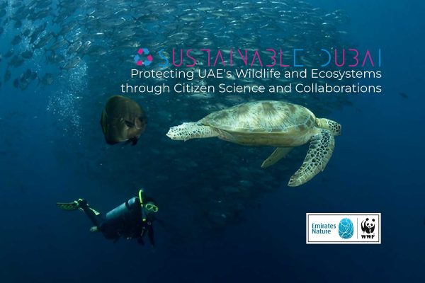 Emirates Nature-WWF: Protecting UAE's Wildlife and Ecosystems through Citizen Science and Collaborations