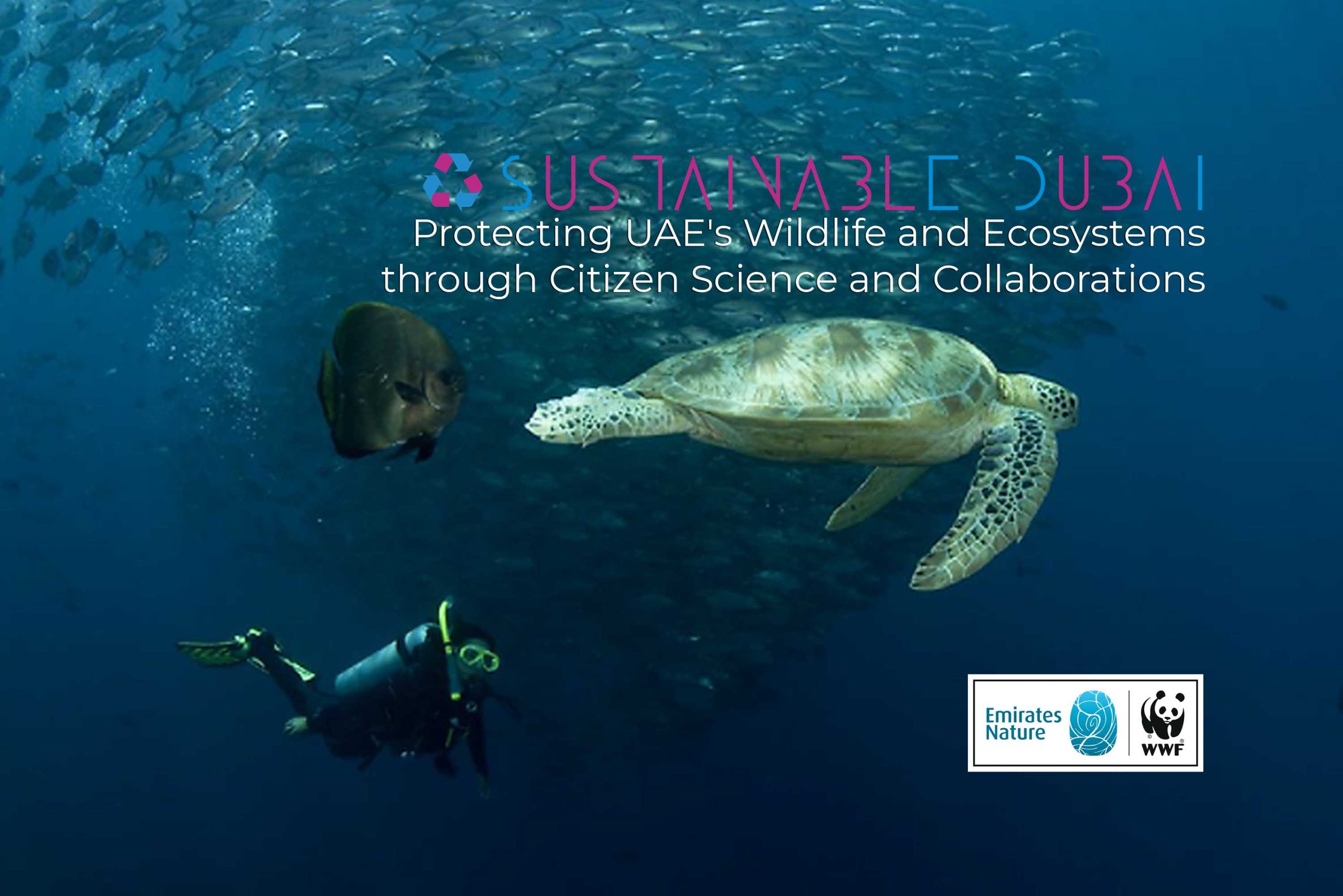 Emirates Nature-WWF: Protecting UAE's Wildlife and Ecosystems through Citizen Science and Collaborations